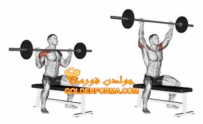 تمرين شولدر بريس بالبار من الجلوس Barbell Shoulder Press تمرينة كتف كاملة