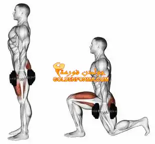 تمرين طعن بالدمبلز Lungs with dumbbell