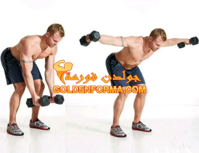 تمرين فراشة خلفي باستخدام دمبل مزدوج Bent Over Reverse Dumbbell Fly تمرينة كتف كاملة