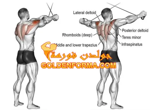 تمرين كابل كروس كتف خلفي Reverse Cable Crossover تمرينة كتف كاملة