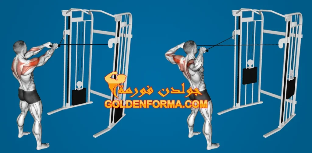 تمرين كتف خلفي بالكابل Face Pull تمرينة كتف كاملة