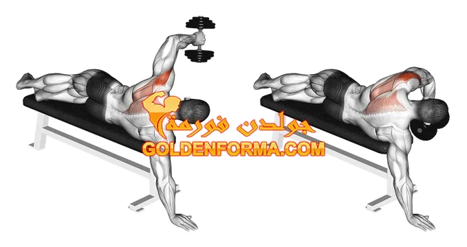 تمرين كتف خلفي من الاستلقاء_ Side-lying Dumbbell تمارين الكتف بالدمبل