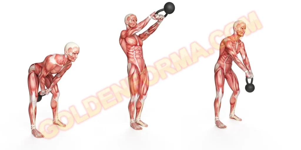 1 . تمرين كيتل بيل - Kettlebell Swing  تمارين التاباتا