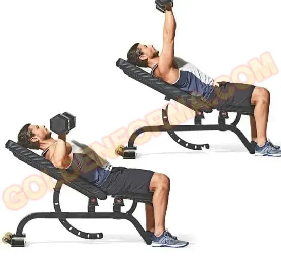 2 . تمرين بريس عالي بالدمبل - Dumbbell incline bench press   تمرين البنش والباي