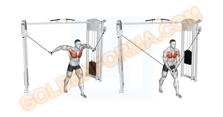 3 . تمرين تفتيح على الكابل - standing cable chest fly  تمرين البنش والباي