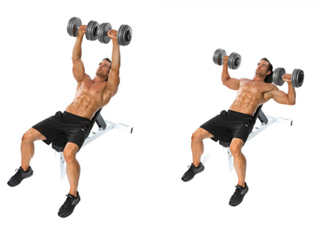 Dumbbell Incline Bench Press تمارين الصدر بالدمبل