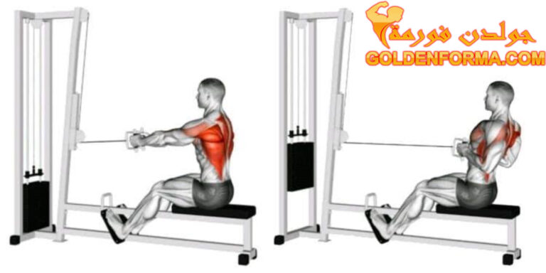 تمرين السحب الامامي قبضة ضيقة – Seated Cable Rows Close Grip جدول تمارين Push Pull Legs