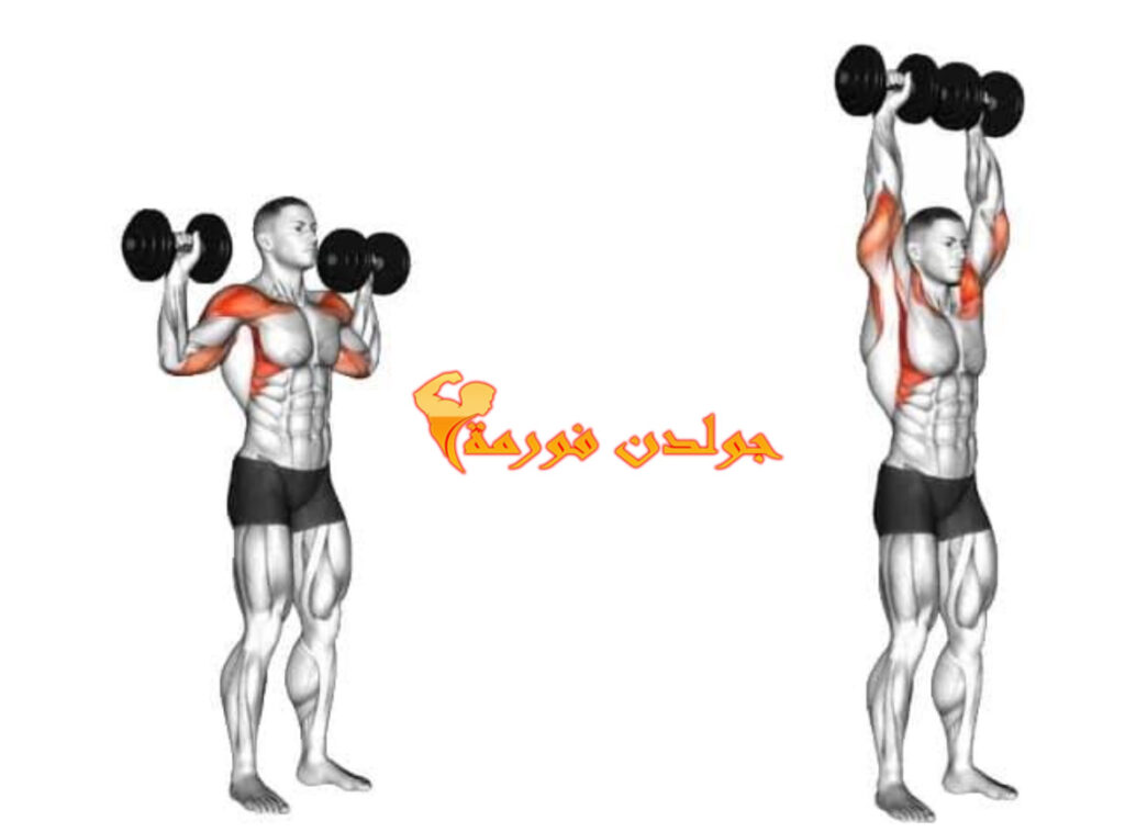 تمرين الكتف بالدامبل - Standing Overhead Dumbbell Press تمارين فتنس بالصور