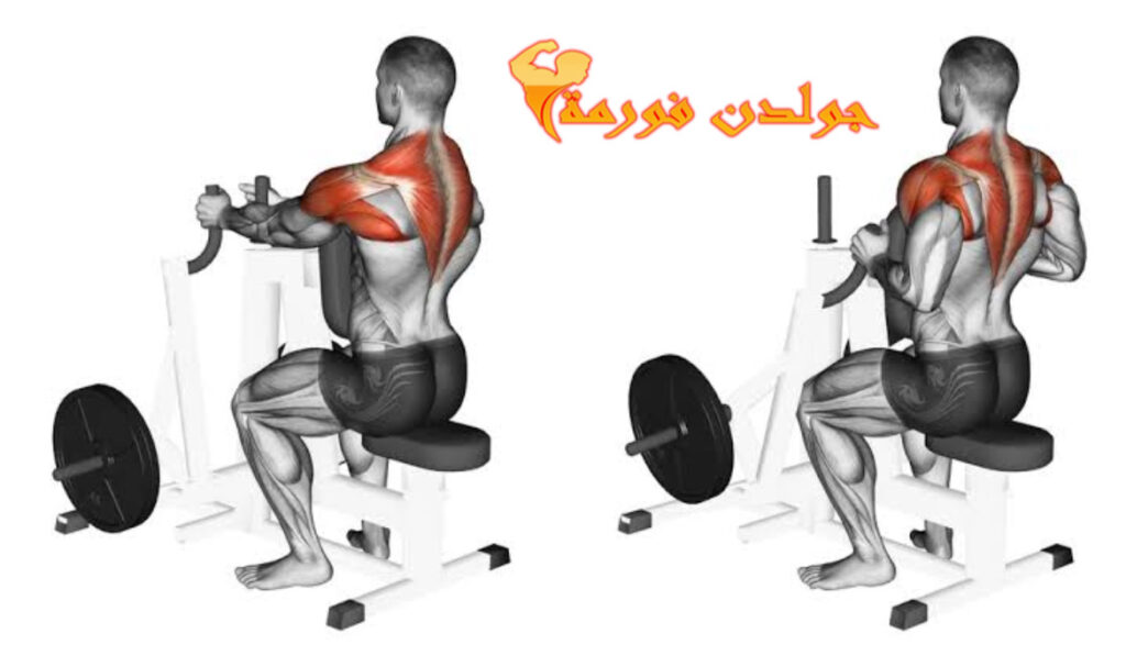 تمرين المنشار لعضلات الظهر العلوية على الجهاز - Hammer Strength Rows Machine جدول تمارين Push Pull Legs