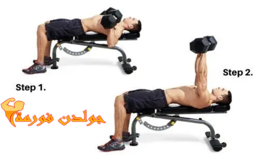 تمرين بنش بريس دمبل - bench press dumbbell  تمرينة بنش كاملة⁩