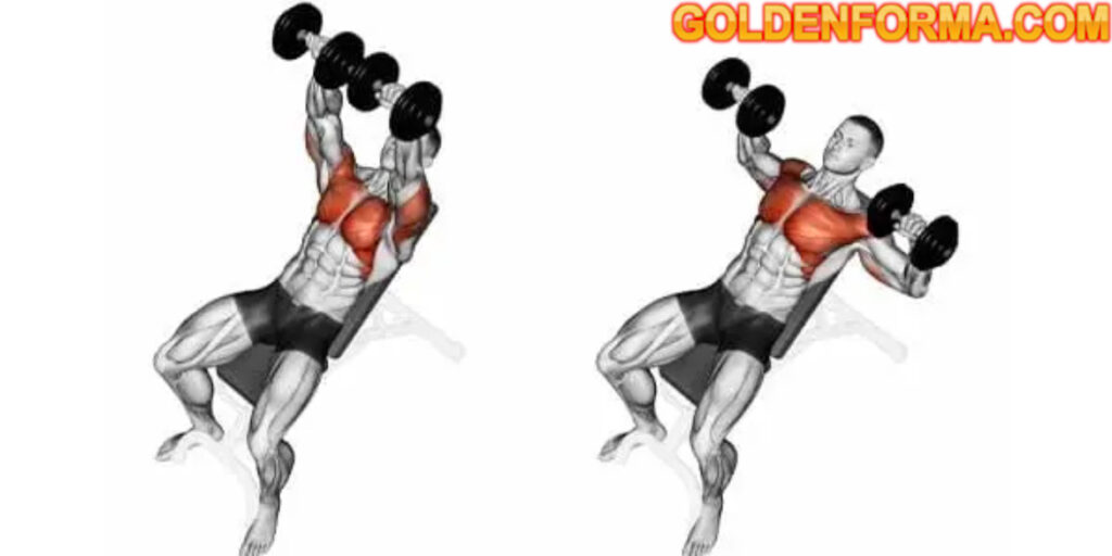 ‎تمرين بنش بريس عالى بالدمبل - Incline Bench press dumbbell  تمرينة بنش كاملة⁩