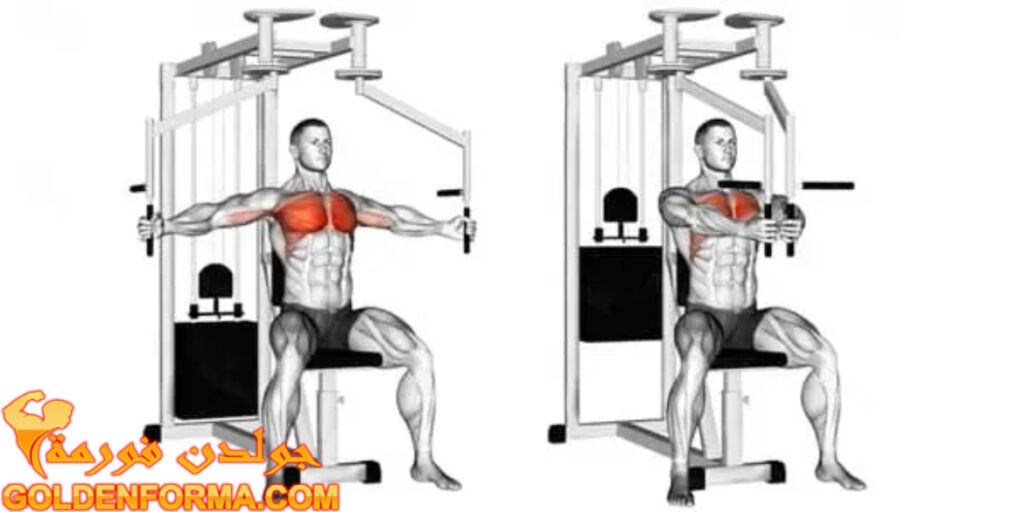  تمرين تفتيح على جهاز الفراشة - chest fly machine  تمرينة بنش كاملة