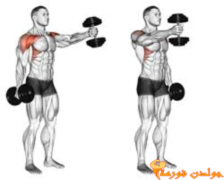 تمرين رفرفة امامي بالدامبل – Dumbbell Front Raises جدول تمارين Push Pull Legs