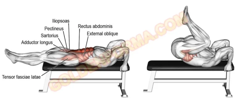 تمرين عضلات البطن رفرفة بوزن الجسم نائم - Laying Leg Raises تمارين فتنس بالصور