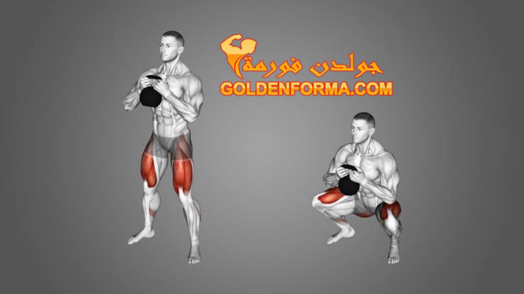 تمرين عضلات الضامة بالدامبل -  Dumbbell Sumo Squats جدول تمارين push pull legs