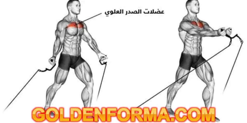 تمرين كروس كيبل من الأسفل - cable crossover for upper chest تمرينة بنش كاملة