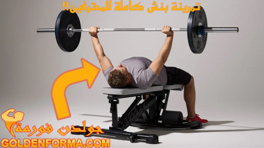 تمرينة بنش كاملة