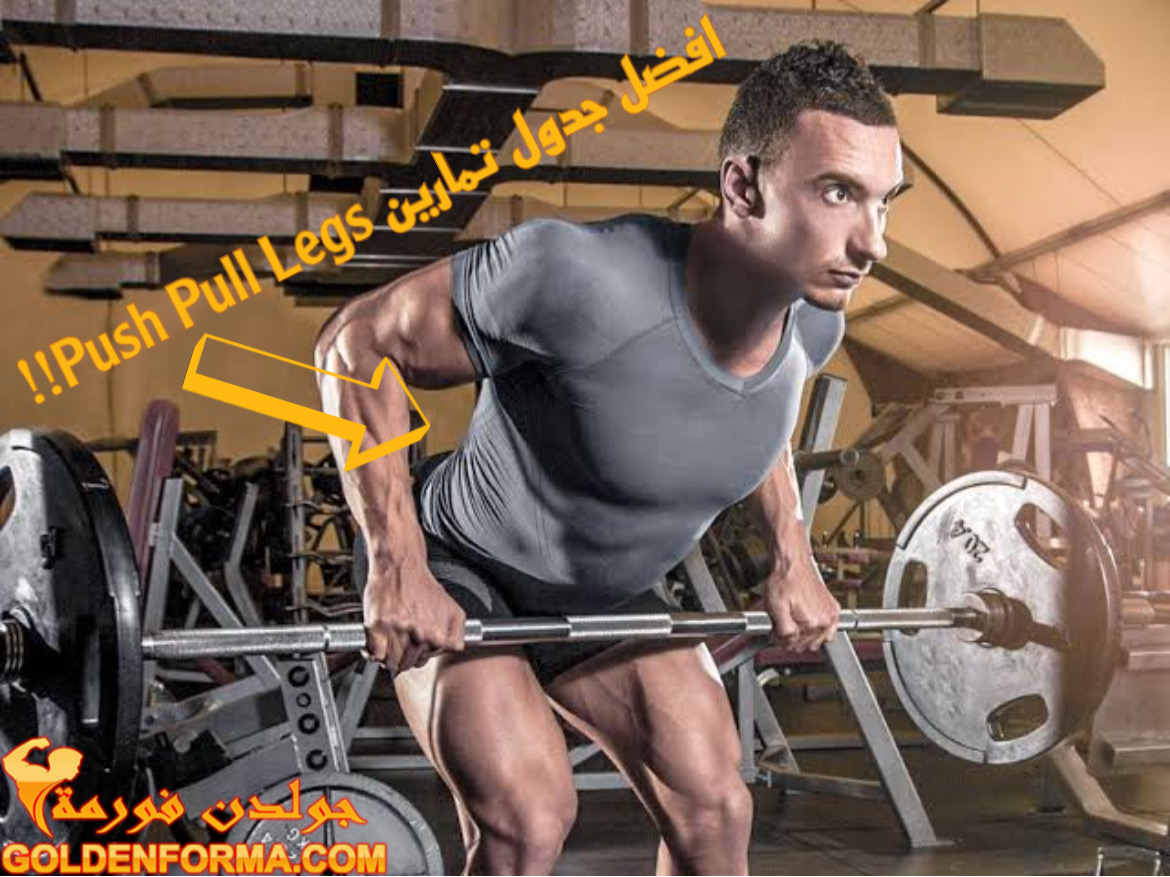 جدول-تمارين-Push-Pull-Legs