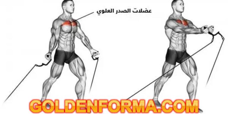 جدول تمارين اسبوعي تمرين الدفع على الكيبل لعضلات الصدر العلوية – Incline Cable Press