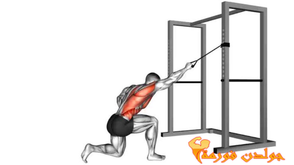 سحب عالي فردي على الكيبل - Single Arm Lat Pulldown جدول تمارين Push Pull Legs