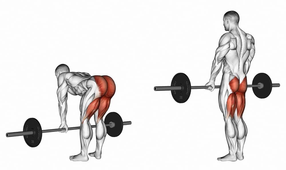 تمرين Deadlift تمرينة جنرال للمحترفين