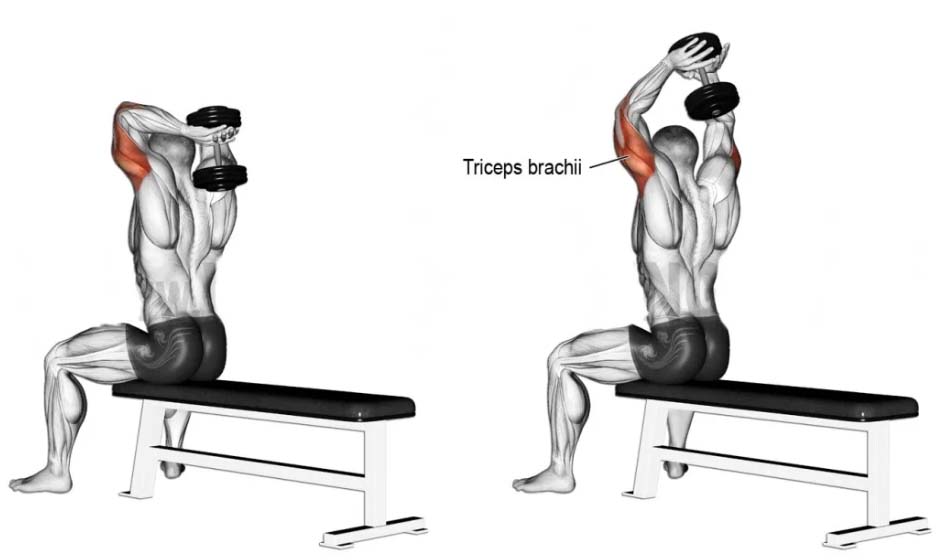 Overhead triceps extensions جدول تمارين جيم 6 ايام