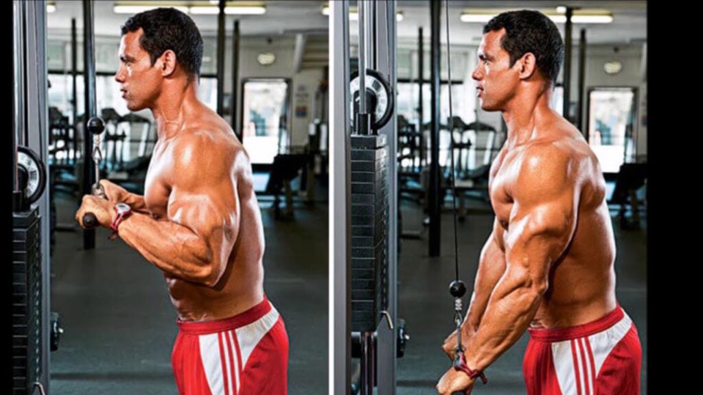 Triceps Pushdown تمرين المسطرة للتراي  جدول تمارين جيم 6 ايام