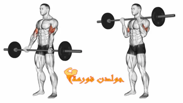 جدول تمارين جنرال في الجيم تمرين بايسيبس بالبار – Biceps Barbbell Curls