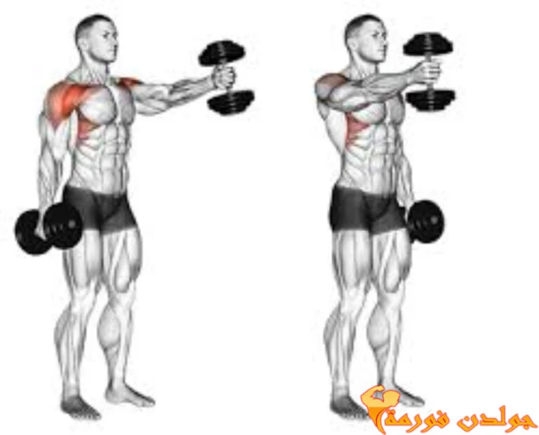 جدول تنشيف للمبتدئين تمرين رفرفة امامي بالدامبل – Dumbbell Front Raises