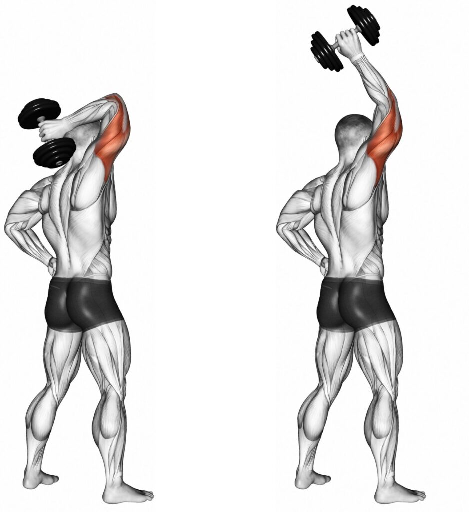 Standing overhead triceps extension تمرين اطالة للتراي فوق الرأس تمارين الذراعين في المنزل