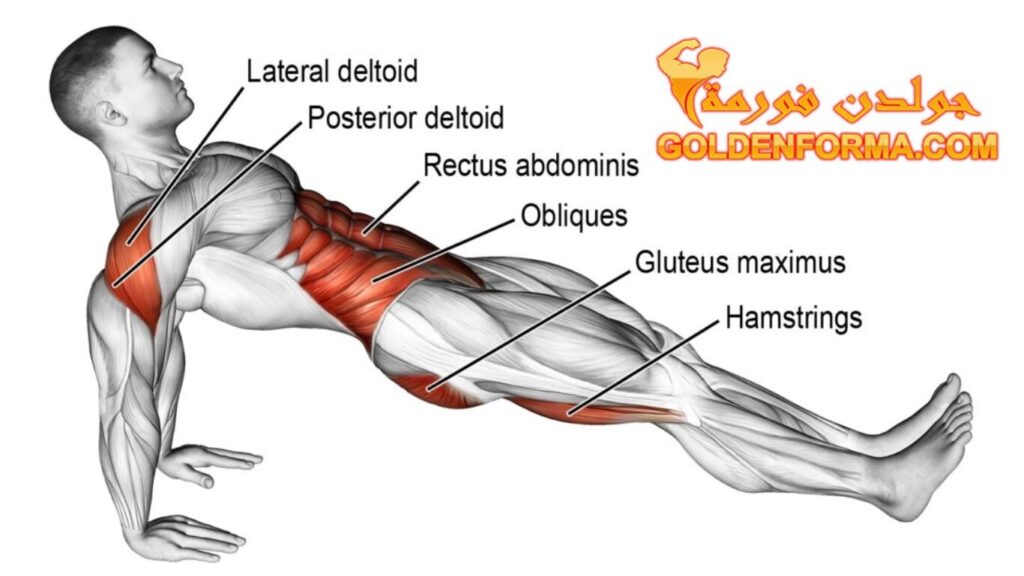 تمرين البلانك العكسي Reverse Plank  تمارين تخسيس البطن بالصور