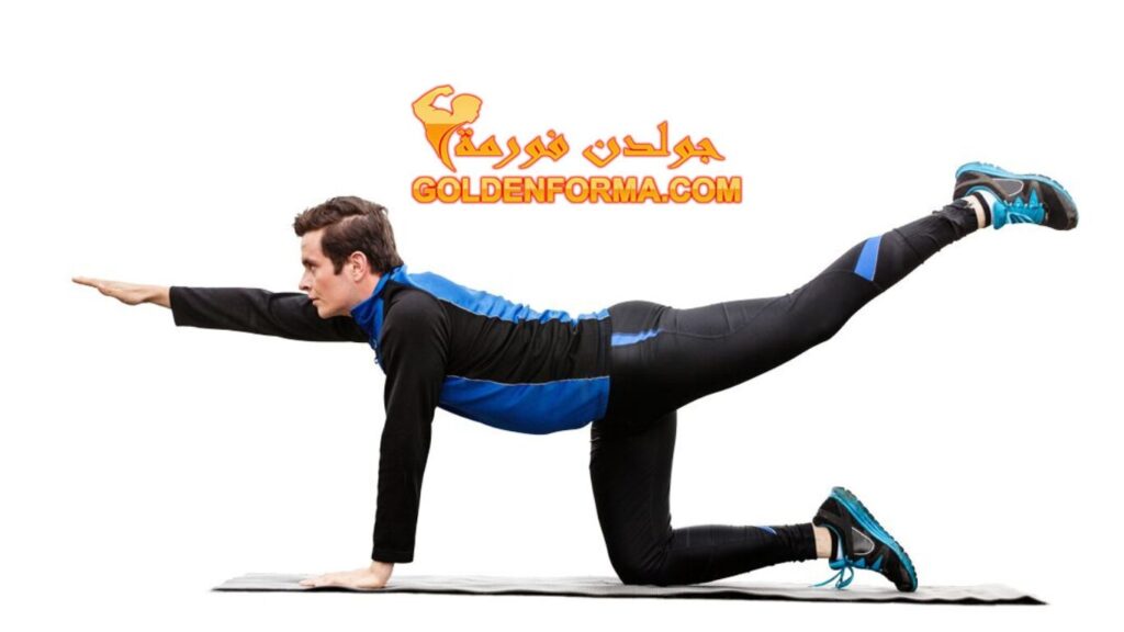 تمرين الكلب الطائر Bird Dog Workout تمارين تخسيس البطن بالصور 