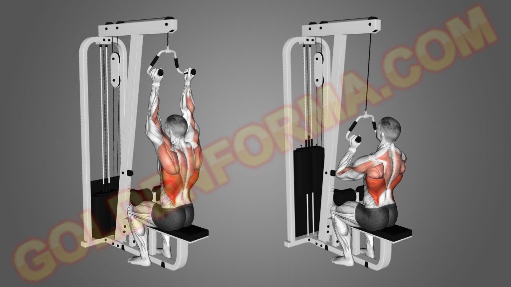 السحب العالي للظهر قبضة ضيقة - Close Grip Lat Pulldown جدول تمارين كمال الاجسام 5 ايام