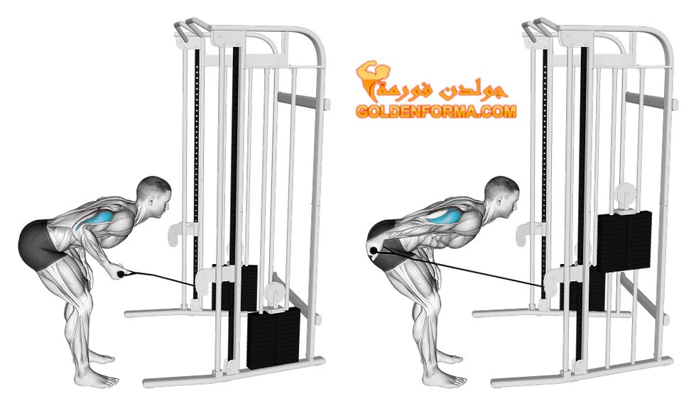 تمرين الترايسيبس تمديد للخلف على الكيبل - Triceps Cable Kick Back جدول تمارين مقاومة للمبتدئين