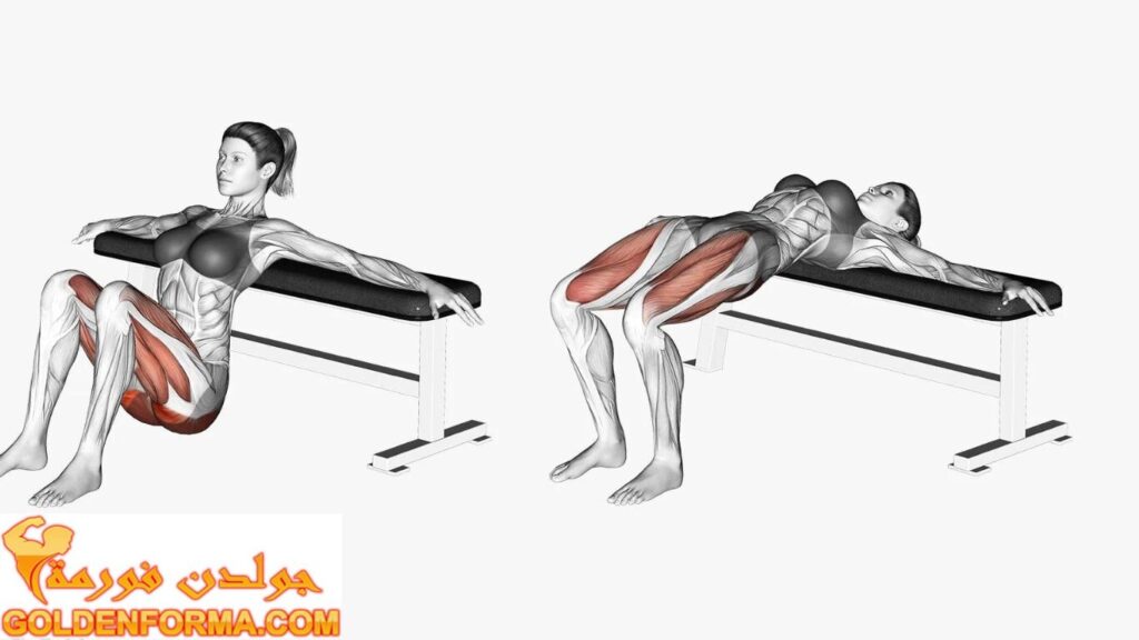 تمرين الدفع الفردي للساق Single-Leg Hip Thrustlbt تمارين