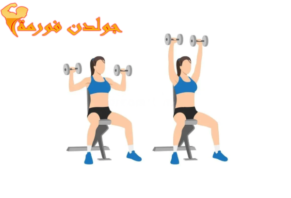 جدول تمارين مقاومة للبنات في البيت تمرين الدفع بالدامبل للكتف - Dumbbell Shoulder Press