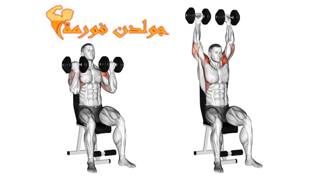 جدول تمارين كمال الاجسام 5 ايام تمرين الدفع بالدمبل بطريقة ارنولد - Arnold Shoulder Press