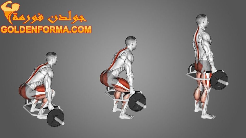 جدول تمارين كمال الاجسام 5 ايام تمرين الديد ليفت - Dead Lifts