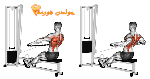 تمرين السحب الامامي قبضة واسعة - Seated Rows Wide Grip جدول تمارين مقاومة للمبتدئين