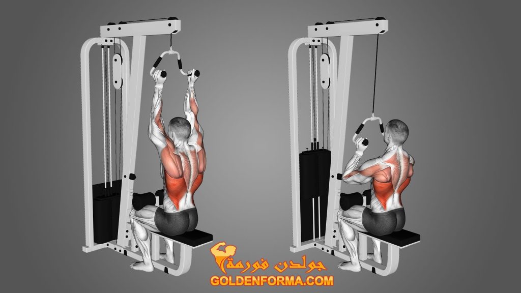 تمرين السحب العالي قبضة ضيقة - Close Grip Lat Pulldown جدول تمارين مقاومة للمبتدئين