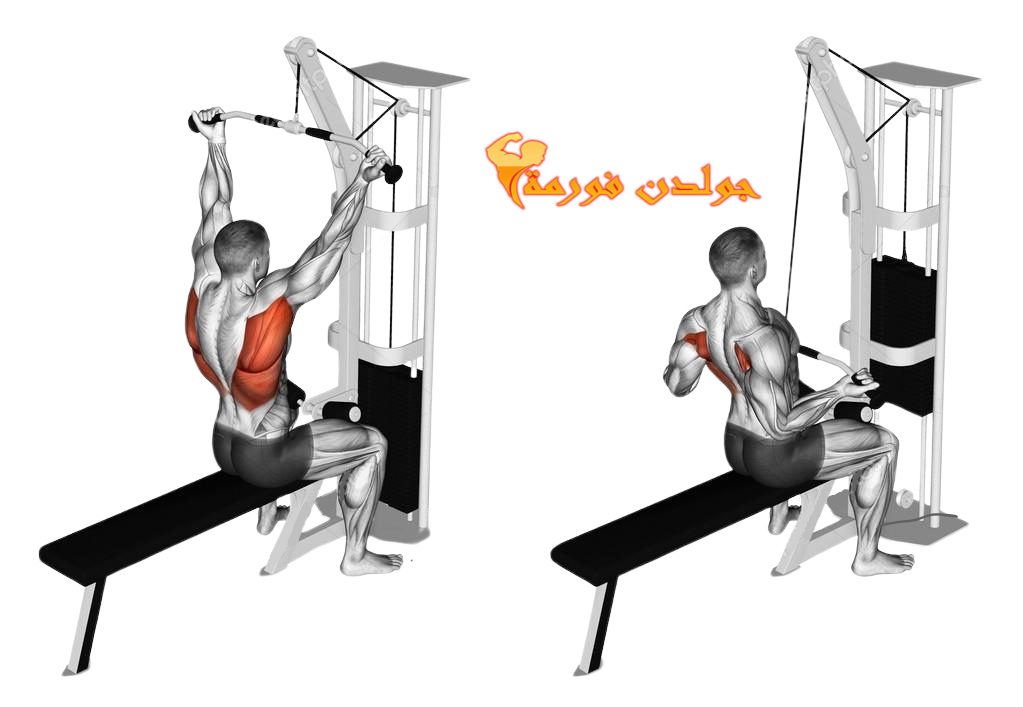  تمرين السحب العالي قبضة مقلوبة - Reverse Grip Lat Pulldown جدول تمارين مقاومة للمبتدئين