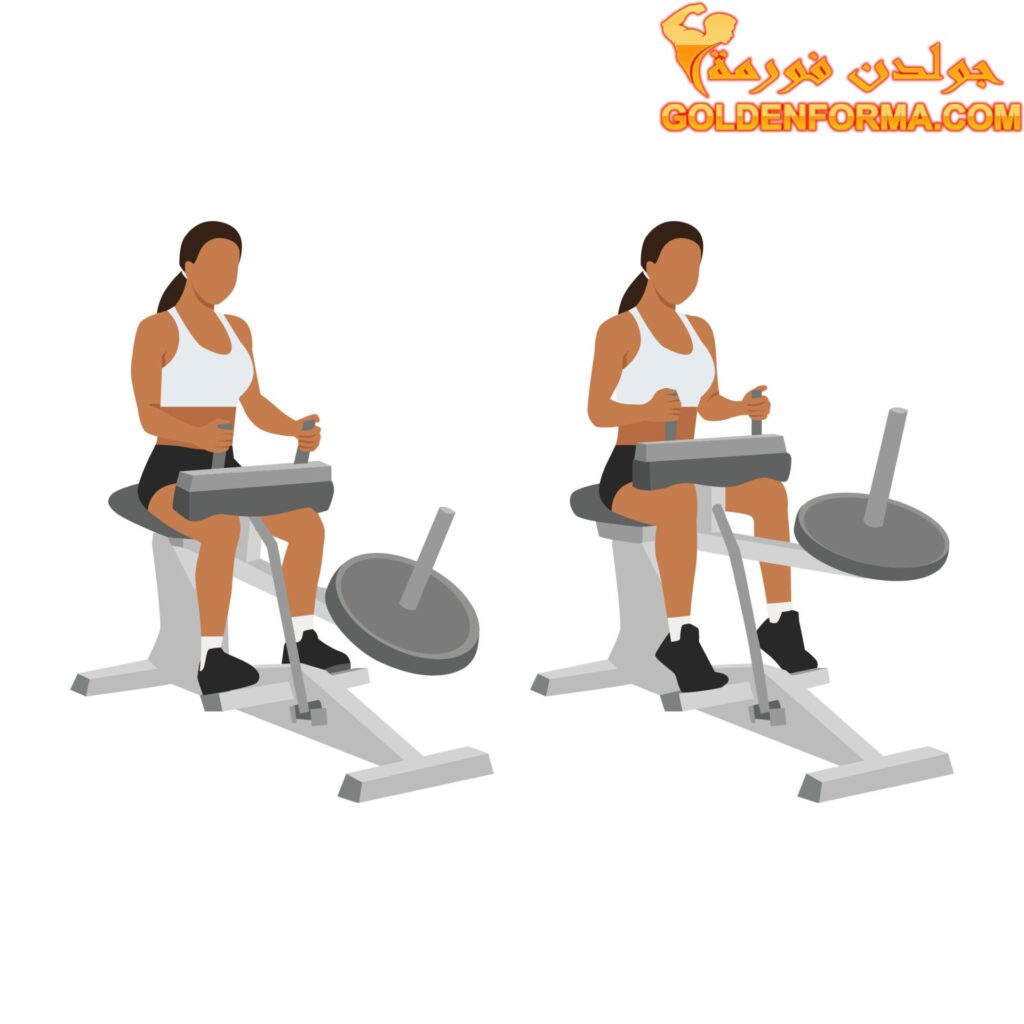 جدول تمارين للمبتدئين للنساء تمرين السمانة على الجهاز جالس – Seated Calf Raises