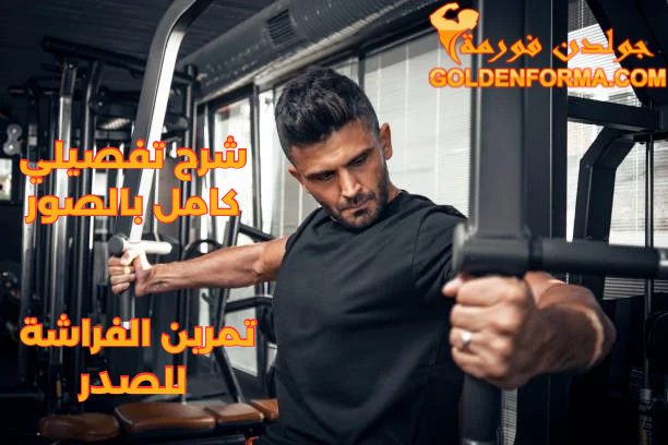 تمرين الفراشة للصدر