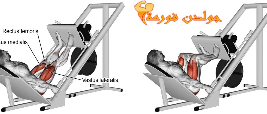 جدول تمارين كمال الاجسام 5 ايام تمرين الليج بريس - Leg Press