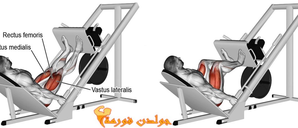 تمرين الليج بريس - Leg Press جدول تمارين مقاومة للمبتدئين