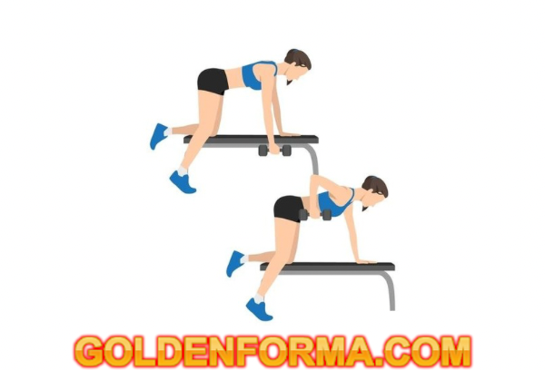 جدول تمارين للنساء تمرين المنشار للظهر فردي – Single Arm Dumbbell Row