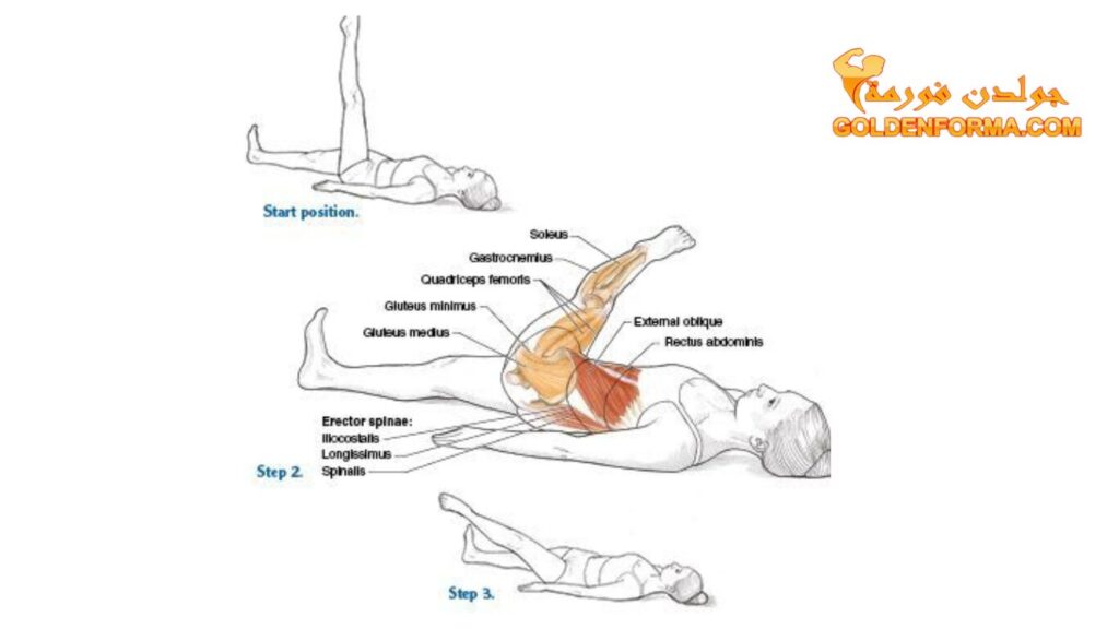  تمرين دائرة الساق الواحدة One Leg Circleتمارين البيلاتس