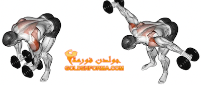 جدول تمارين كمال الاجسام 5 ايام تمرين رفرفة خلفي بالدامبل - Rear Deltoid Dumbbell Raises