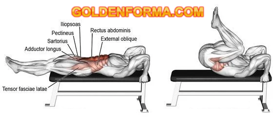  تمرين السمانة على الجهاز واقف - Standing Calf Raises جدول تمارين مقاومة للمبتدئين