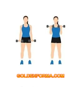 جدول تمارين مقاومة للبنات في البيت تمرين عضلات البايسيبس زوجي بالدمبل - Dumbbell Bicep Curls